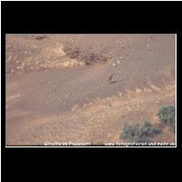 3-043 Giraffe im Flussbett.jpg